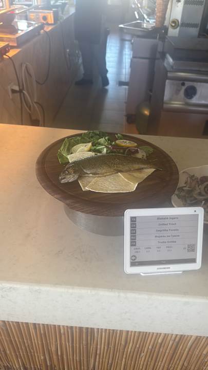 Strand Seashell Vega