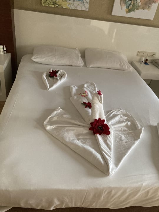 Zimmer Seaden Sea World Resort & Spa