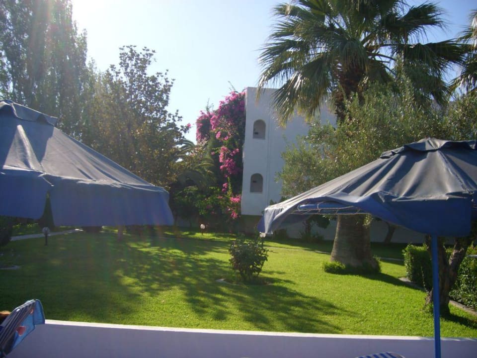 Blick auf Hotel von Pool Hotel Tina Flora