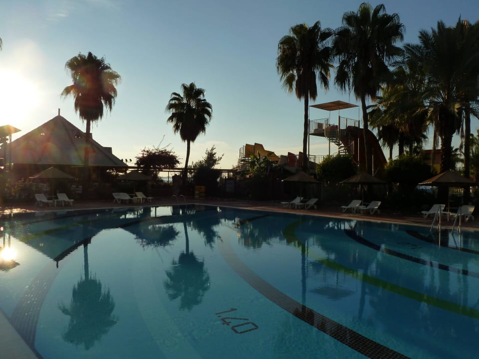 Pool und Poolbar Hotel Defne Garden