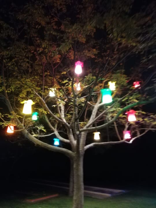Gartenanlage Megasaray Club Belek