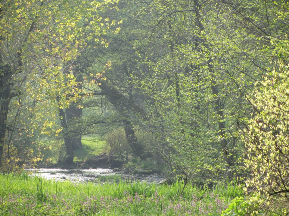 Erholung im Gartenbereich Hotel Zur Mühle