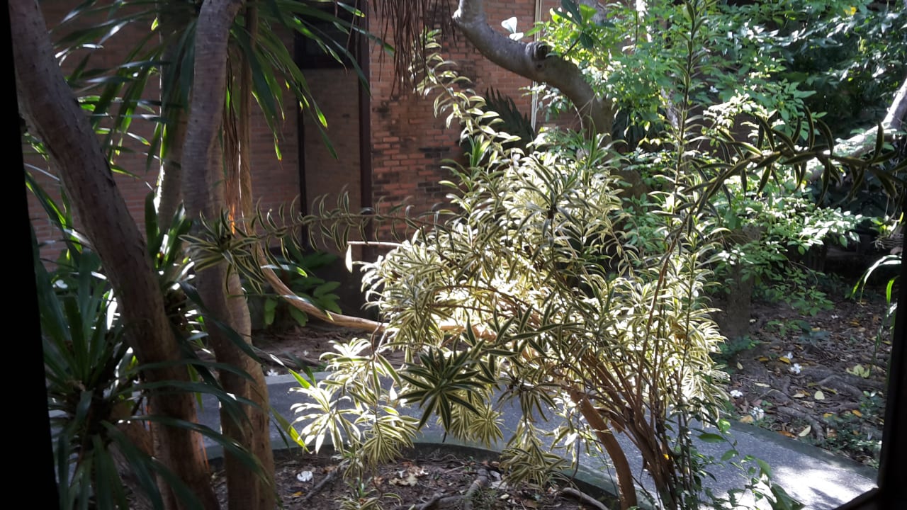 Gartenanlage Hotel The Cottage