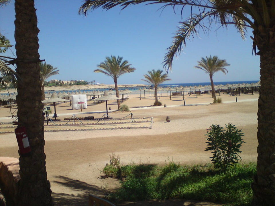 Ausblick auf den Strand von der Strandbar aus Jaz Dar EL Madina