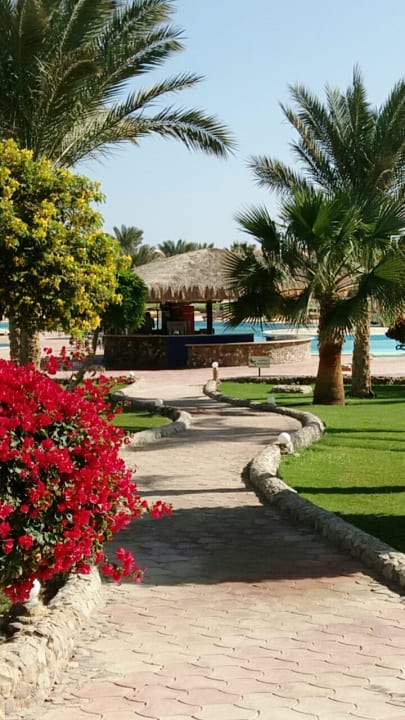 Garten und Bar Three Corners Sea Beach Resort