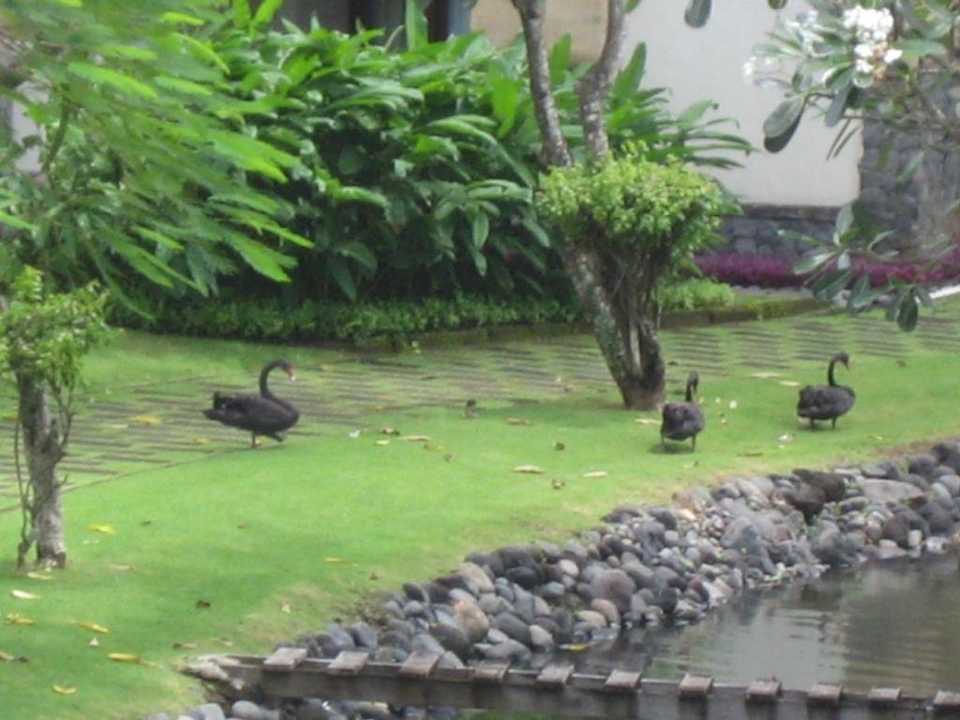 Garten InterContinental Bali Resort