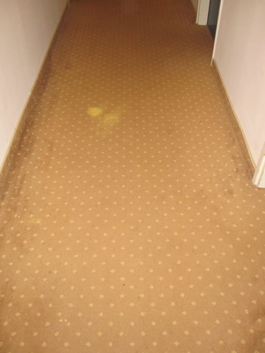 Schrecklich   Hotel Umag Plava Laguna