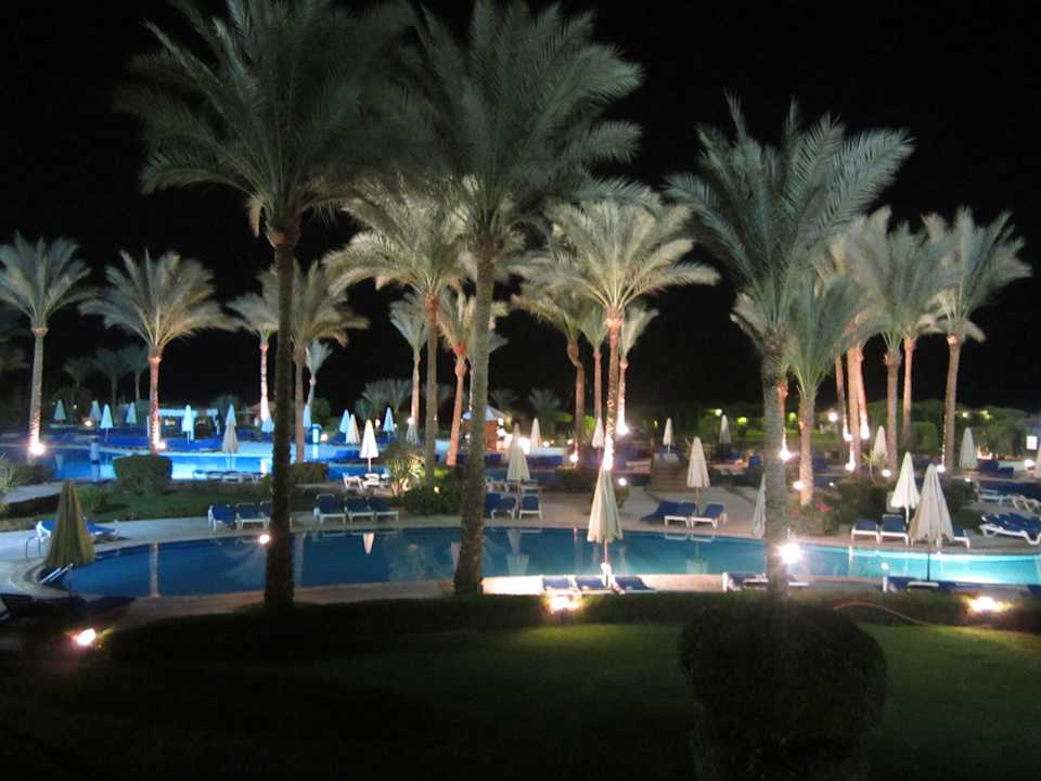 Pool Siva Sharm