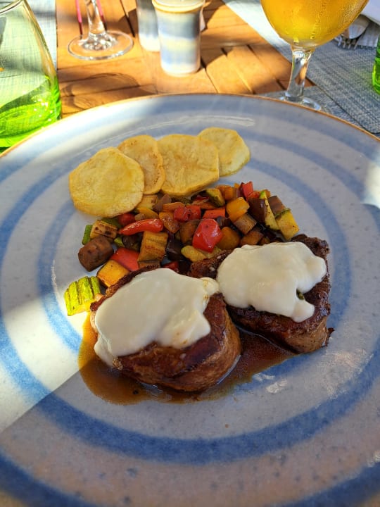 Gastro JAZ Elite Amara