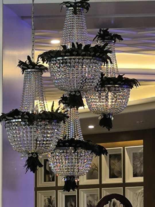 Lobby Hotel Delphin Imperial