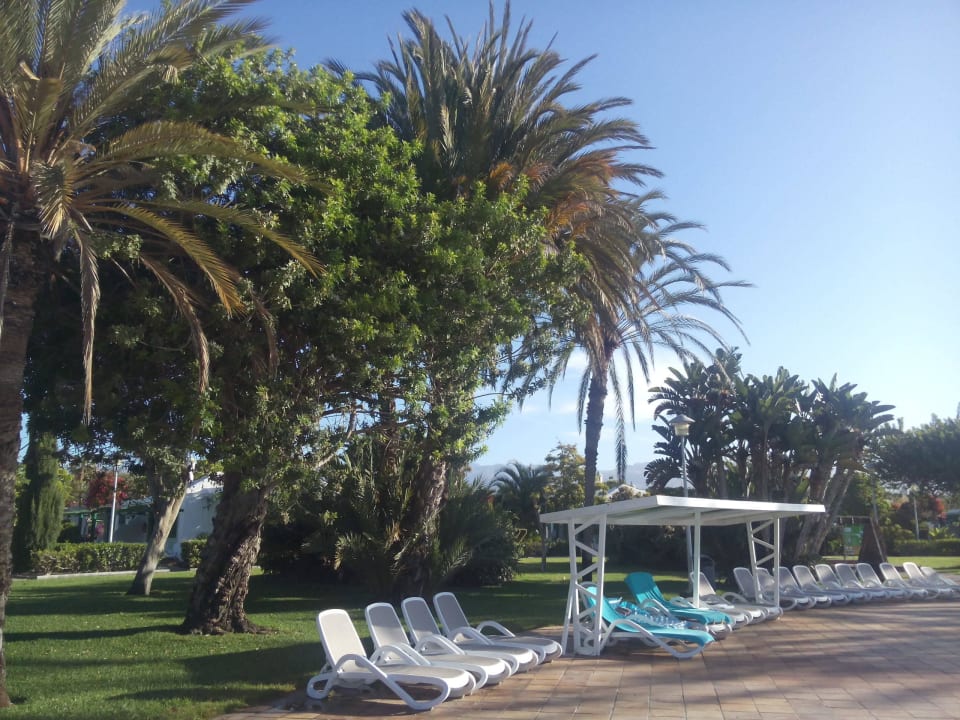 Und es gibt sie doch noch, die Liegenreservierer. Bungalows Cordial Sandy Golf