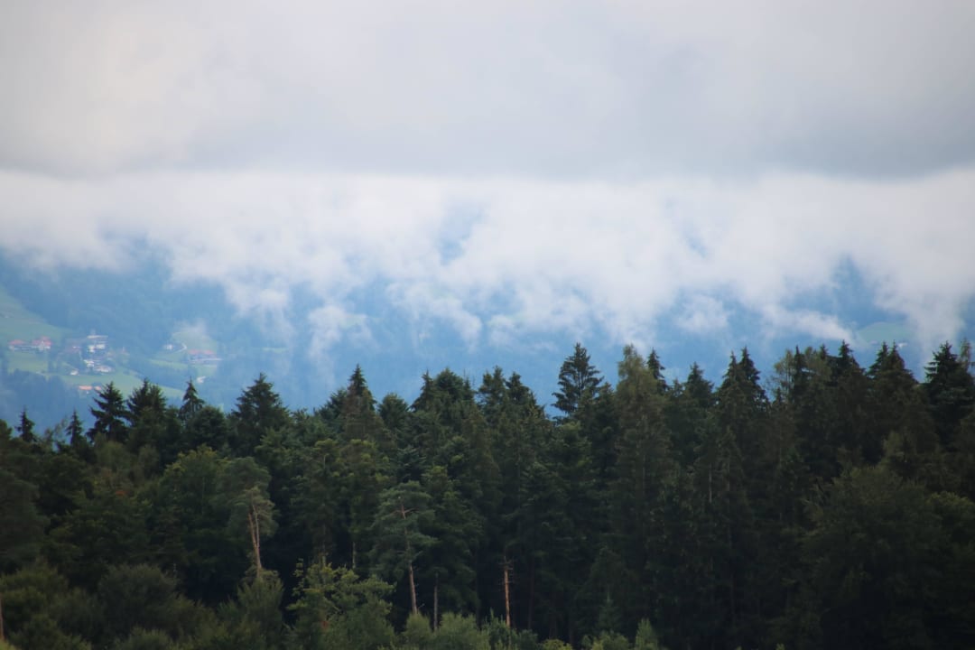 Die Sicht vom Balkon Haus Sonnenschein