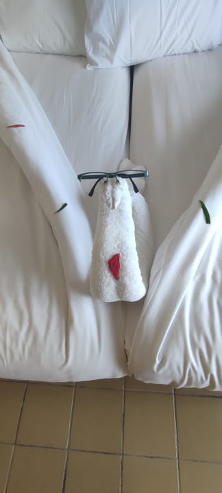 Zimmer Pickalbatros Sands Hotel - Port Ghalib