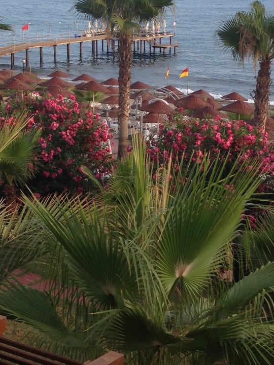 Ausblick Club Dizalya