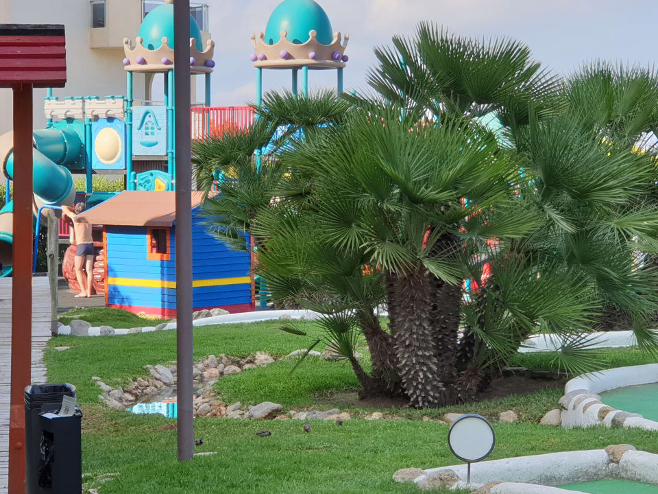 Sport & Freizeit Zafiro Bahia