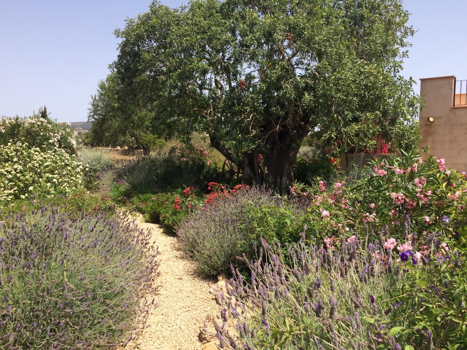 Gartenanlage Finca Son Marimon