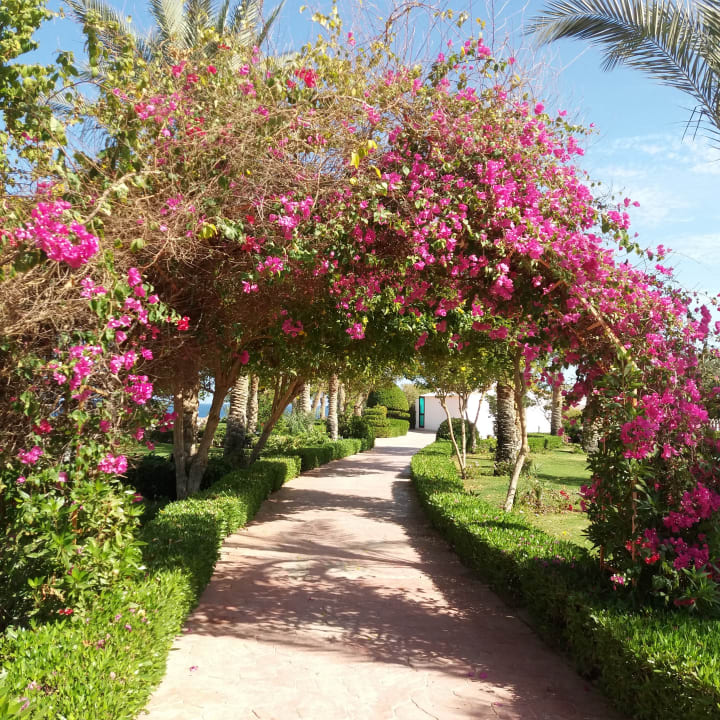 Gartenanlage Fantazia Resort Marsa Alam