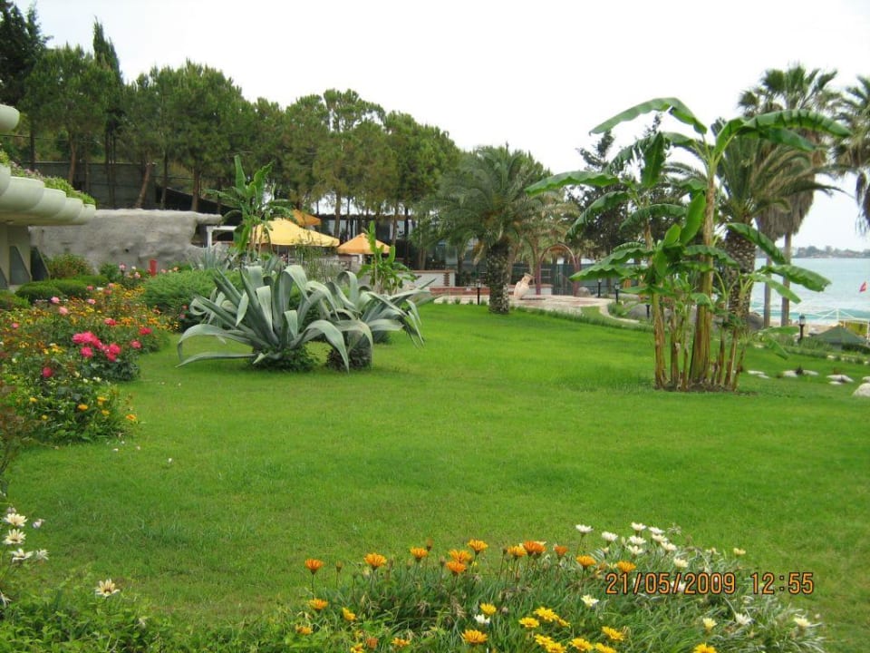 Gartenanlage Sunrise Queen Luxury Hotel