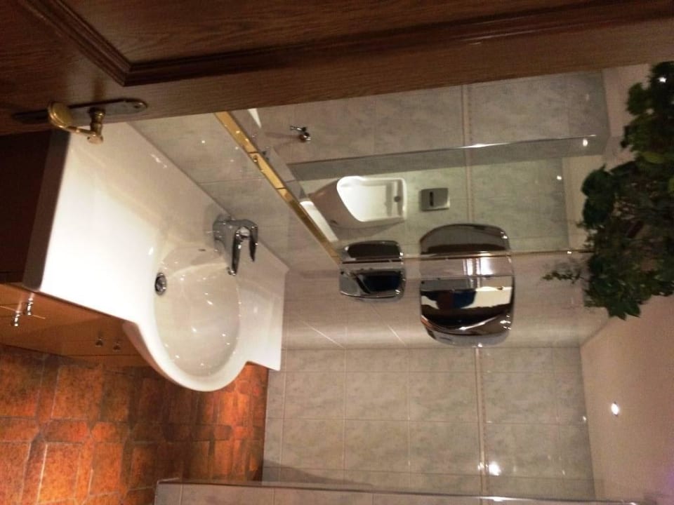 Toilette zum Restaurant Berghotel Holzer