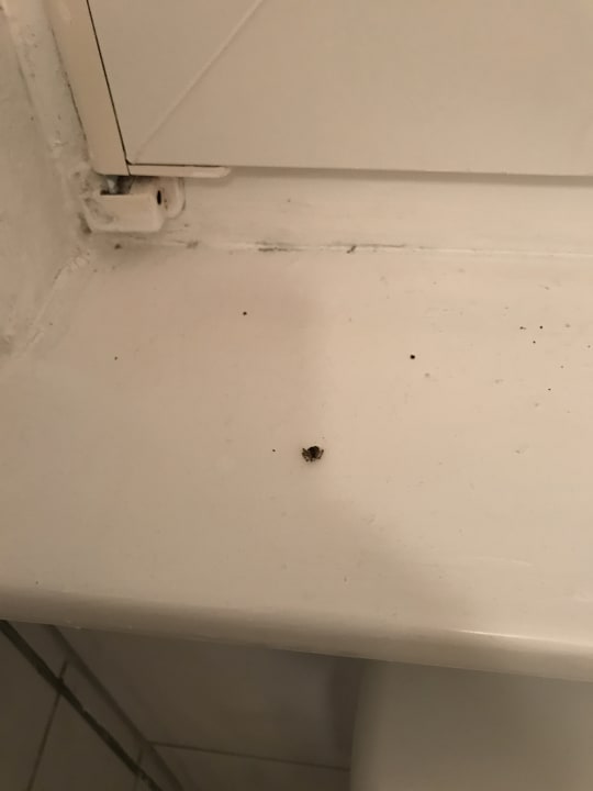 Zimmer Pension Am Deich