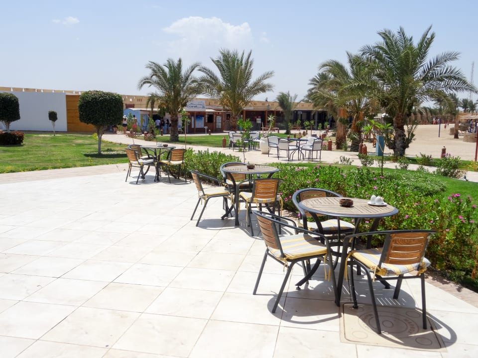Gastro Coral Sun Beach
