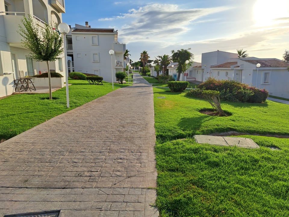 Gartenanlage blau punta reina