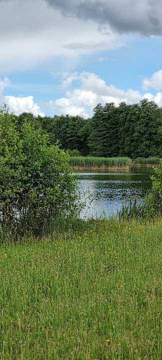 Gartenanlage Pałac i Folwark Galiny