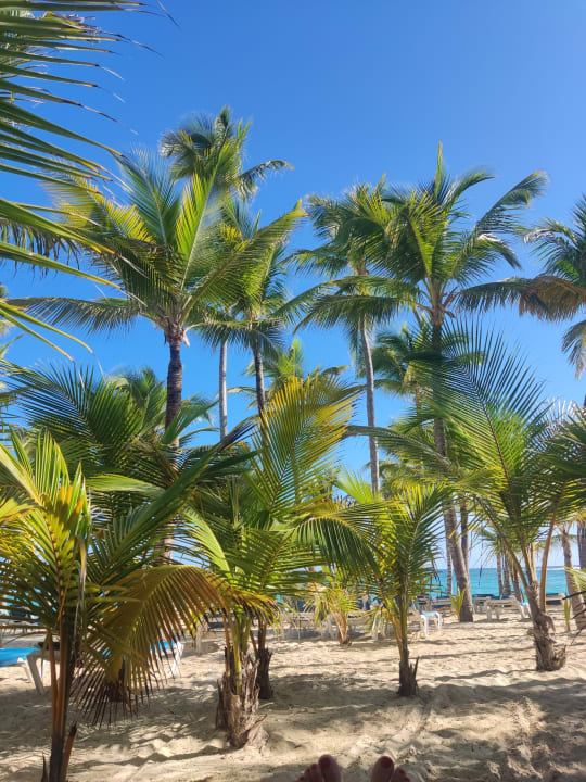 Strand Hotel Riu Palace Punta Cana