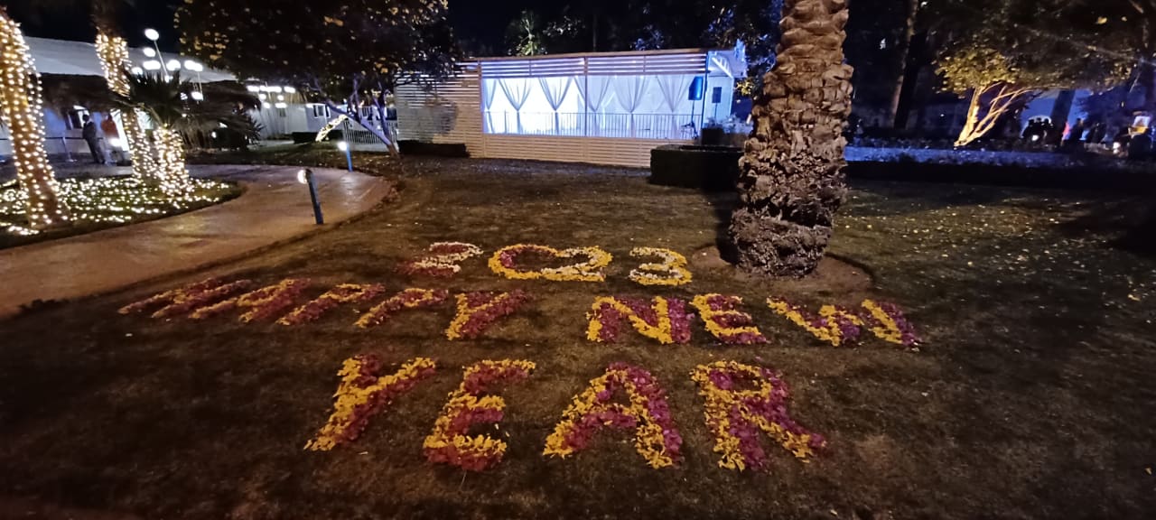 Sonstiges Desert Rose