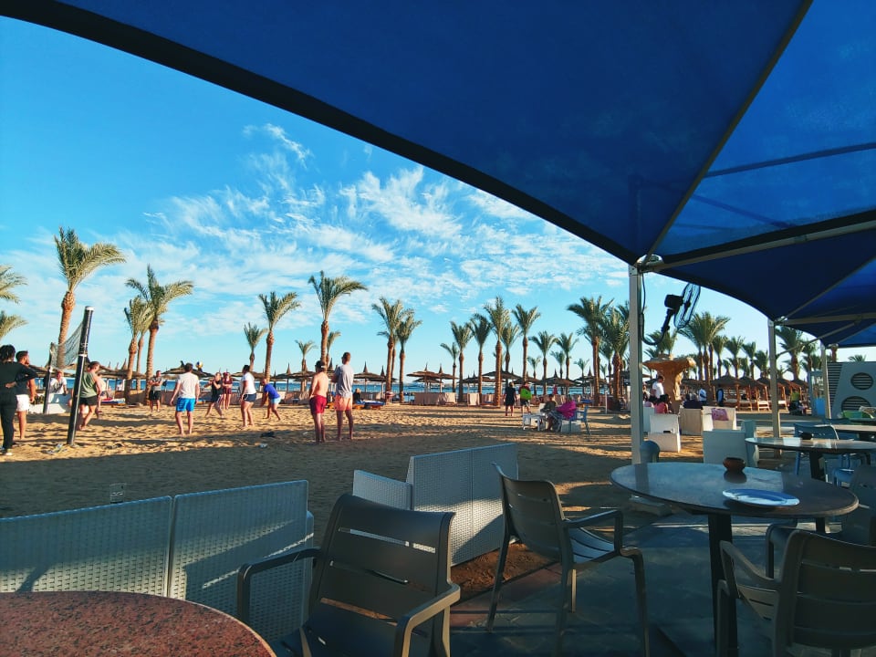 Gastro Pickalbatros Palace Resort