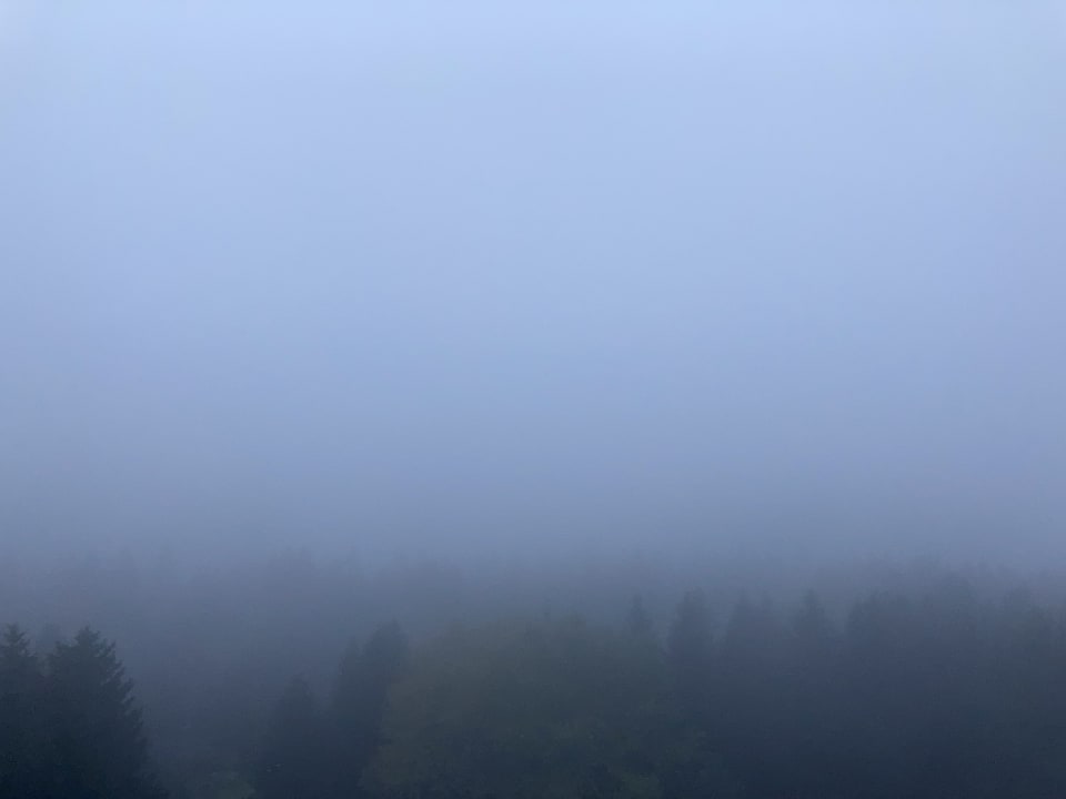 Ausblick AHORN Panorama Hotel Oberhof