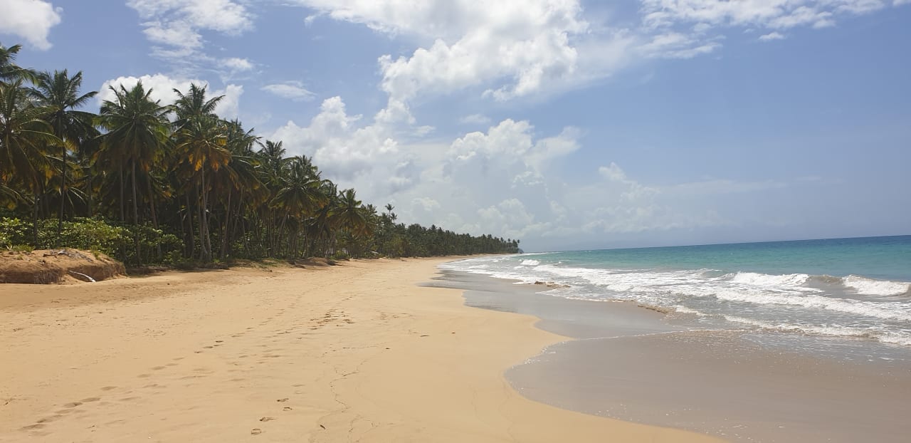 Strand Viva V Samana by Wyndham – Adults Only