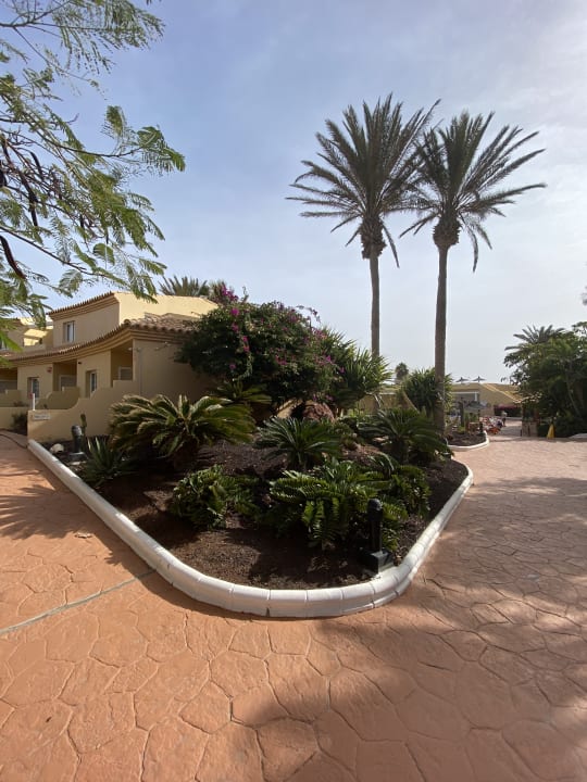 Ausblick Hotel Royal Suite