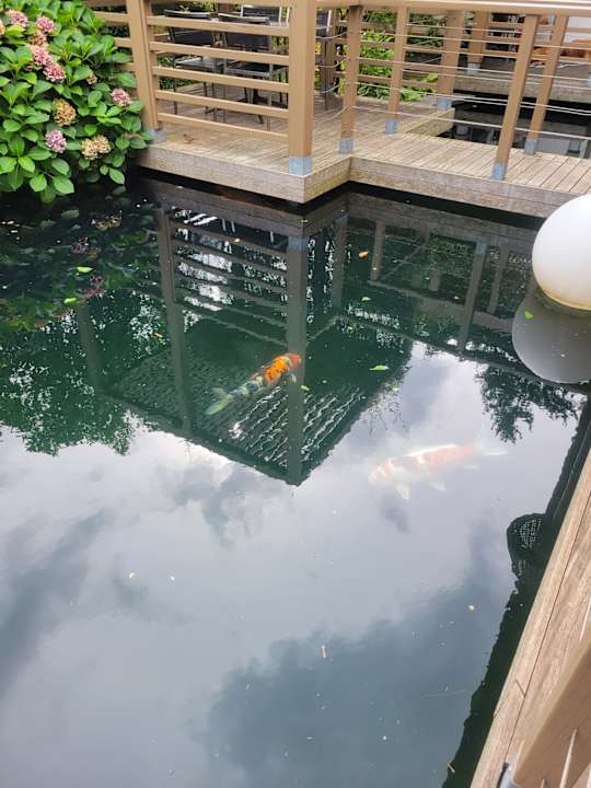 Außenansicht Feldhof DolceVita Resort