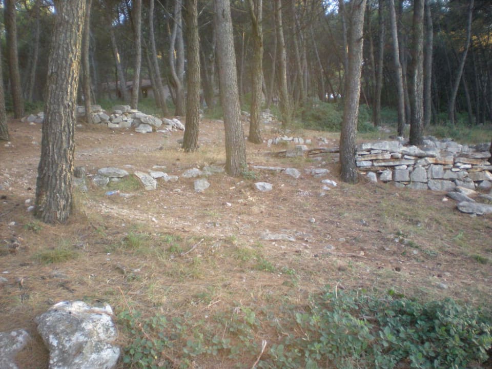 Weg zum Strand Apartments Kanegra Plava Laguna