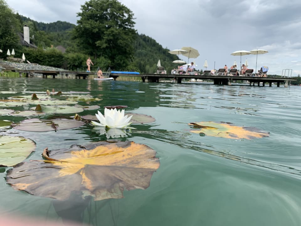 Strand Aktivhotel Marko