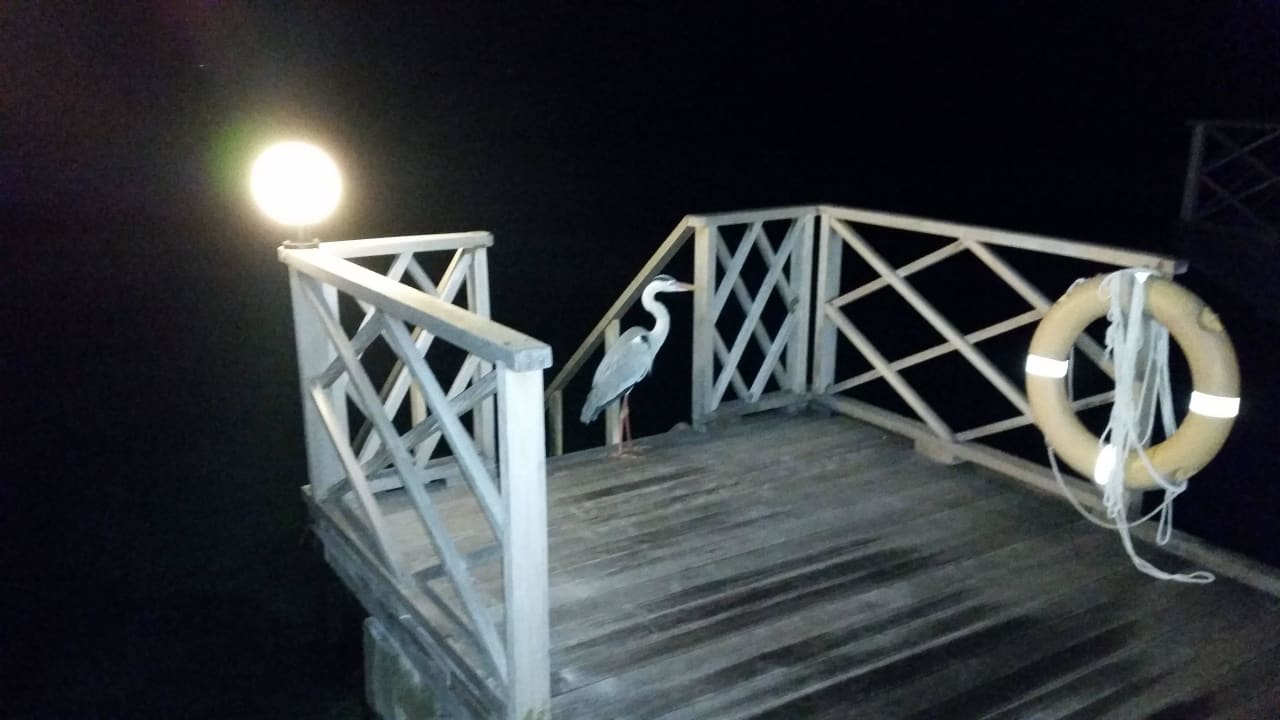 Nachtwächter Angaga Island Resort