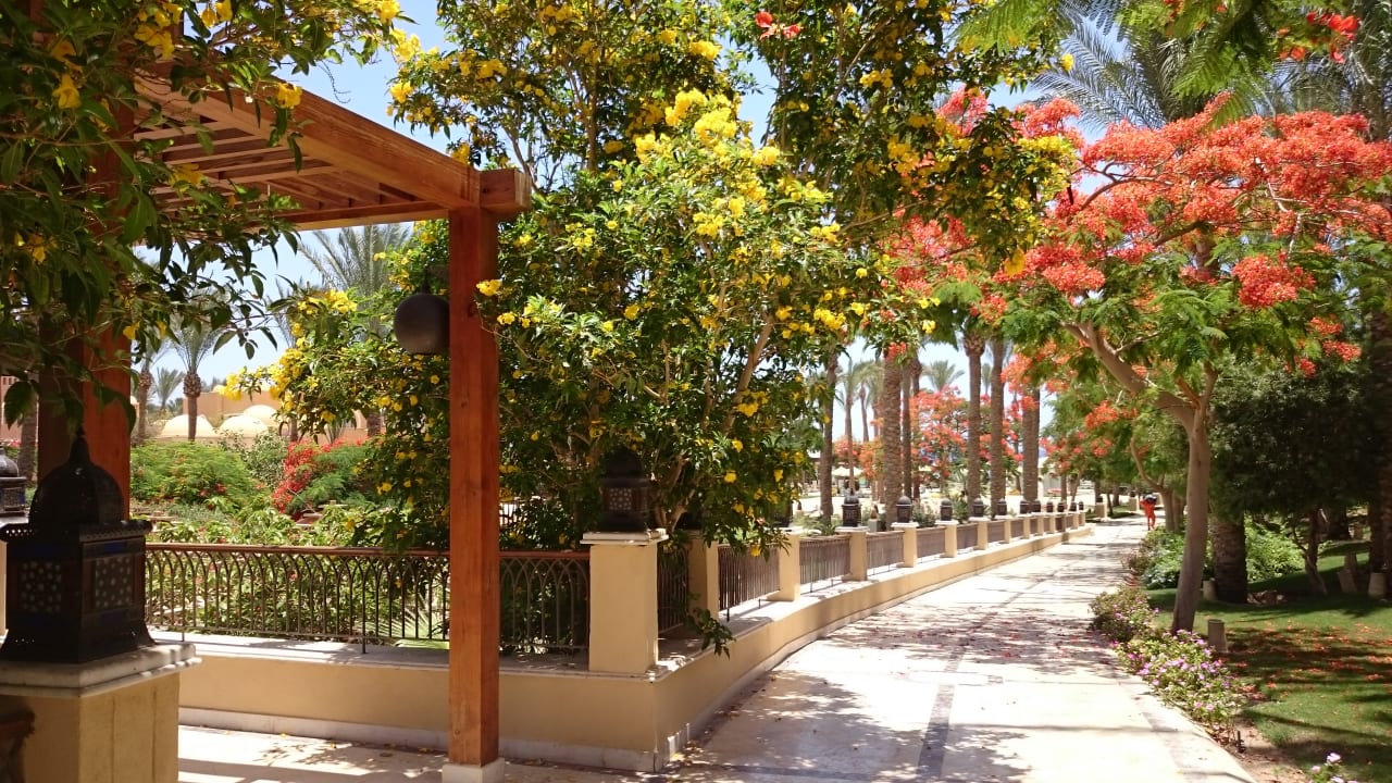 Gartenanlage Makadi Palace