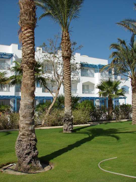 Garten The Grand Hotel Hurghada