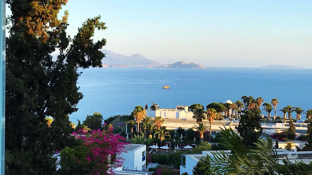 Ausblick ROBINSON DAIDALOS