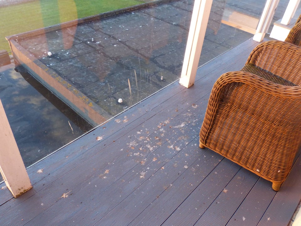 Täglicher Vogelkot auf unserem Balkon Hotel Atlantic Newquay