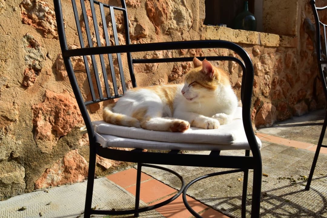 Außenansicht Finca Son Guardiola