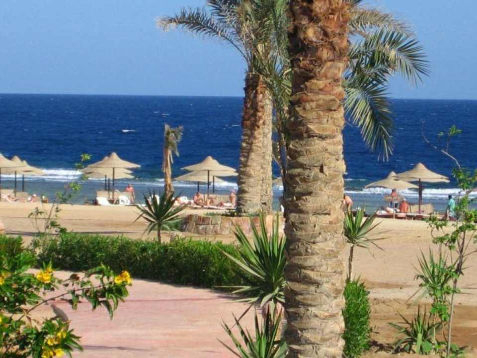 Blick von der Poollandschaft zum Meer Three Corners Sea Beach Resort