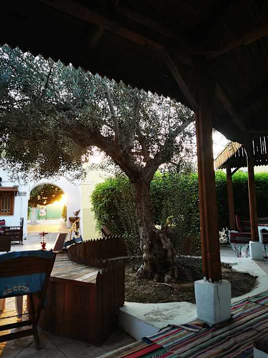 Ausblick Samira Club