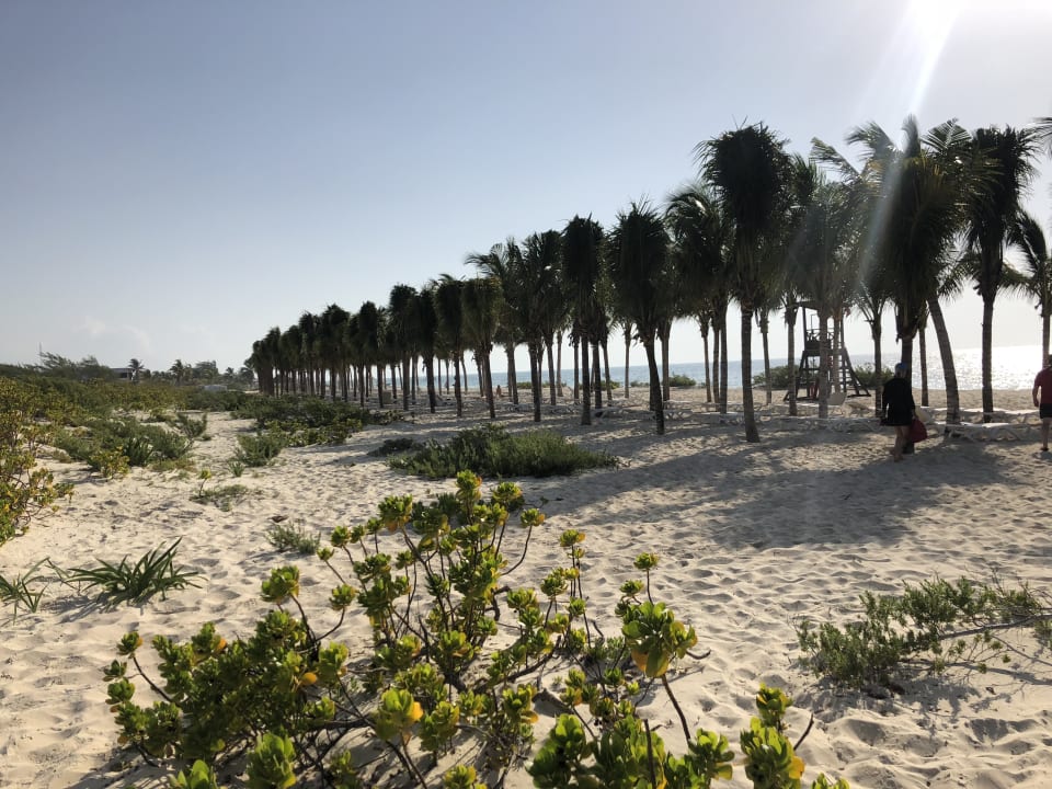 Strand Hotel Riu Dunamar