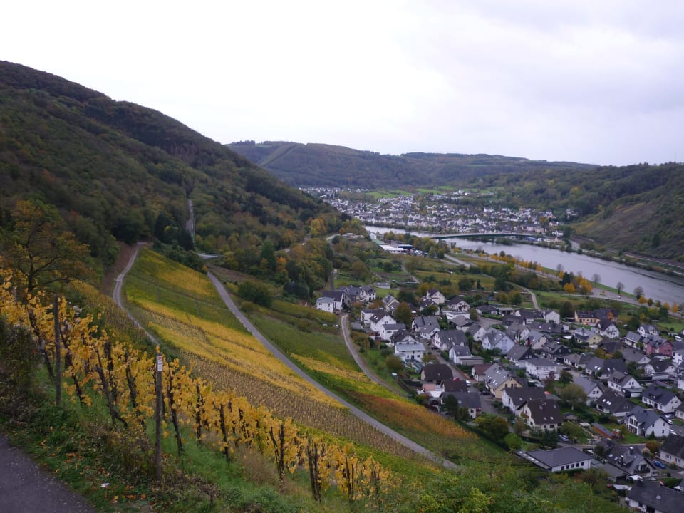 Ausblick Hotel Rosenhof