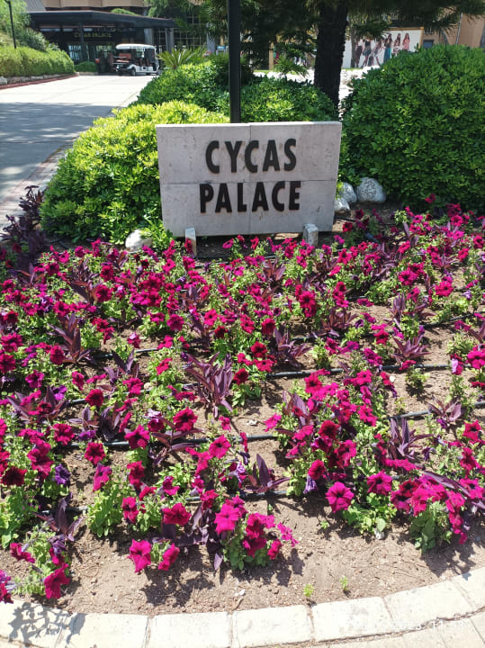 Gartenanlage Asteria Family Belek