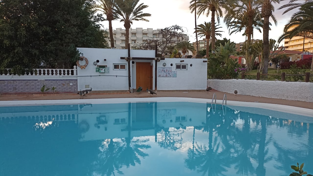 Pool HL Miraflor Suites Hotel