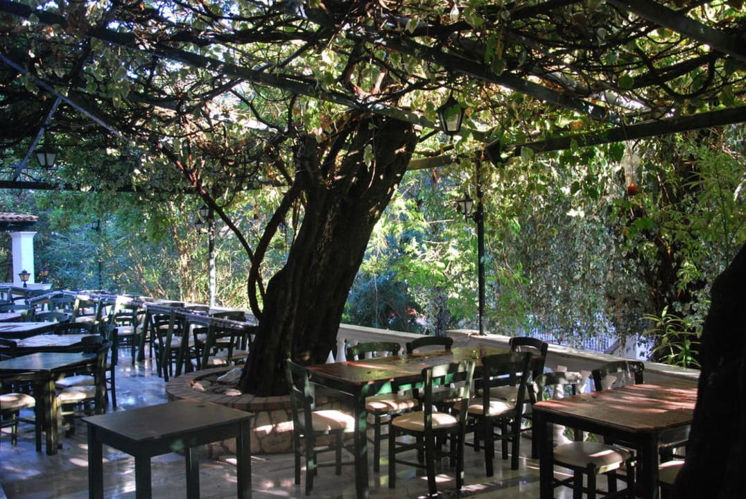 Lokal Außenbereich Hotel & Apartments Liapades Beach