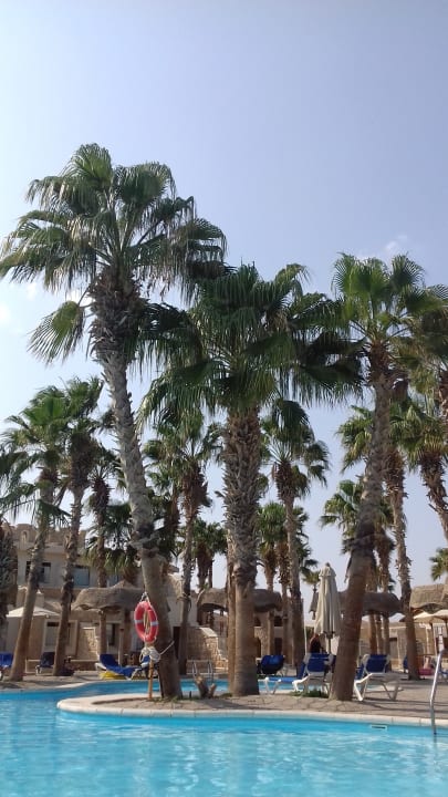 Pool Pickalbatros Citadel Resort